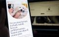 Platform Telemedicine Pet Pawlyclinic Berekspansi ke Indonesia untuk Membuat Perawatan Hewan Lebih Mudah Diakses