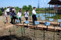 Program Rehabilitasi Kawasan Mangrove di Kabupaten Maros