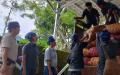 Petani Jahe Merah Binaan YDBA di Lebak Banten Panen 32,5 Ton