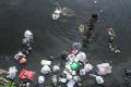 Sampah di Sungai Code Yogyakarta