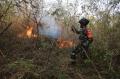 Kebakaran Puluhan Hektare Hutan di Lereng Gunung Ciremai
