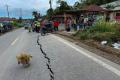 872 Rumah Warga Rusak Akibat Gempa Bumi 6.0 SR di Tapanuli Utara