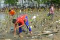 Aksi Cinta Bumi Tanam 3.000 Bibit Mangrove di Tambakrejo Semarang