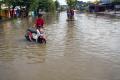 Potensi Banjir di Papua Barat dan Papua Barat Daya
