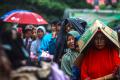 Potret Perjuangan Warga Antre Beli Beras di Bawah Rintik Hujan