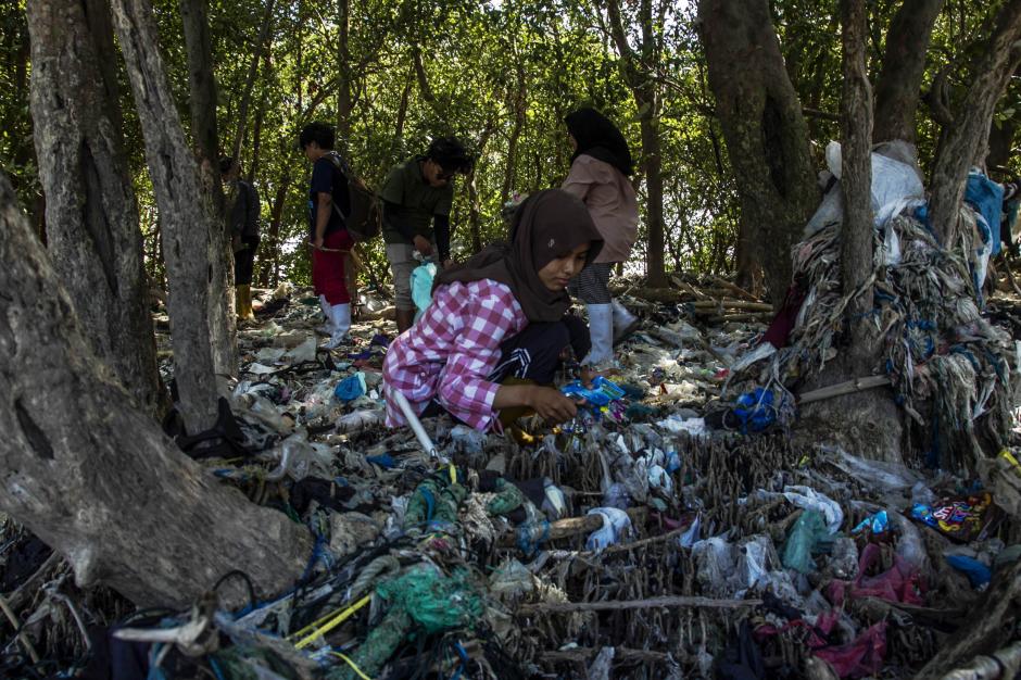Puluhan Mahasiswa Bebaskan Mangrove dari Jeratan Sampah Plastik-6