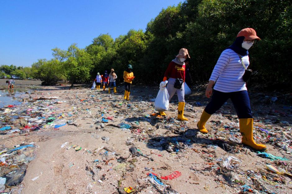 Puluhan Mahasiswa Bebaskan Mangrove dari Jeratan Sampah Plastik-2