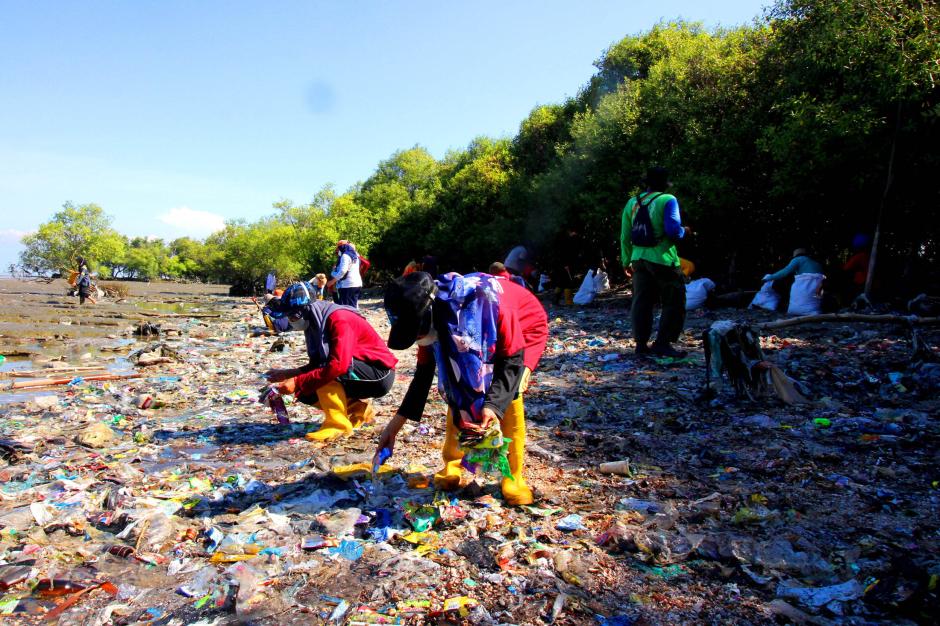 Puluhan Mahasiswa Bebaskan Mangrove dari Jeratan Sampah Plastik-3
