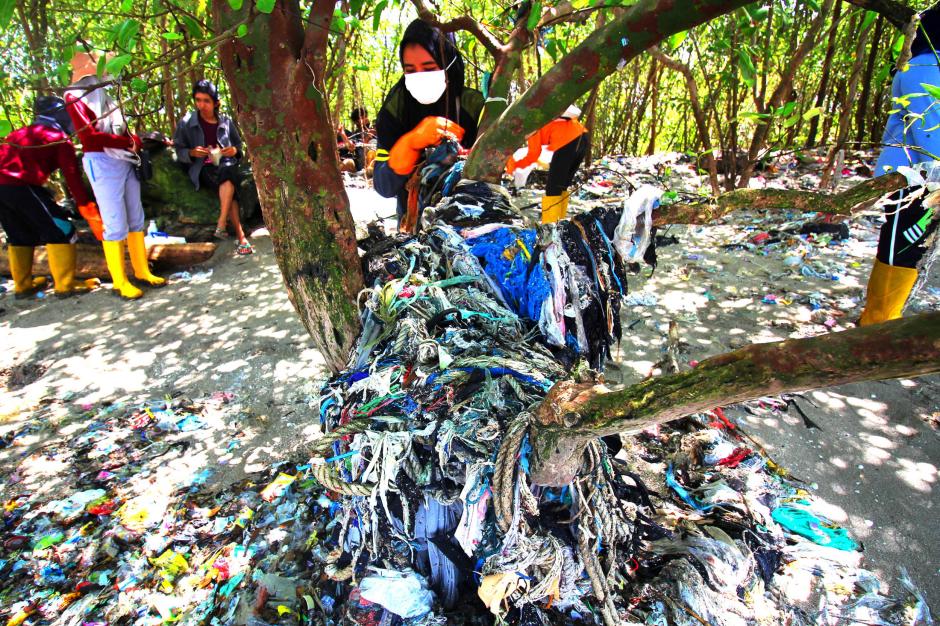 Puluhan Mahasiswa Bebaskan Mangrove dari Jeratan Sampah Plastik-1