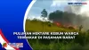 Puluhan Hektare Kebun Warga Terbakar di Pasaman Barat