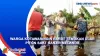 Warga Kotawaringin Barat Temukan Ular Piton saat Banjir Melanda
