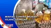 Minyakita Langka, Pedagang Jual Minyak Goreng Curah Lebih Mahal di Mandailing Natal
