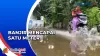 Banjir Rendam Bangunan Sekolah di Situbondo