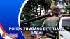 Pohon Cemara Timpa Mobil Pikap di Jakut, Penyebabnya Hujan Badai