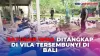 Imigrasi Tangkap Ratusan WNA dalam Vila Tersembunyi di Bali, Diduga Sindikat Kejahatan Siber