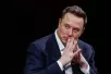 How to Get Money from Elon Musk Through X