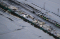 Tabrakan Beruntun 134 Mobil Saat Badai Salju di Jalan Tol Jepang