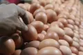 Jelang Puasa, Harga Telur Kini Tembus Rp 26 Ribu/Kg ya Bun