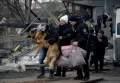 Potret Menyedihkan Kucing dan Anjing Ikut Mengungsi Akibat Perang Rusia-Ukraina