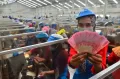 Potret Bahagia Pekerja PT Djarum Saat Asyik Menghitung Uang THR di Pabrik