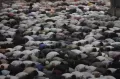 Masjid Istiqlal Kembali Gelar Shalat Idul Fitri, Perdana pada Masa Pandemi