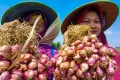 Jelang Idul Adha, Harga Bawang Merah Melonjak di Sejumlah Daerah