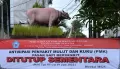Penutupan Pasar Sapi Antisipasi Penyebaran PMK di Bali