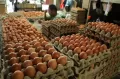 Harga Telur Ayam di Makassar Sentuh Rp60 Ribu/Rak