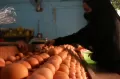 BBM Naik, Harga Telur Bertahan di Rekor Tertinggi