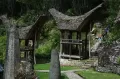 Wisata Menyusuri Situs Batu di Bori Kalimbuang Toraja Utara