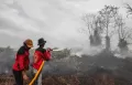 Kebakaran Hutan dan Lahan di Kotawaringin Barat