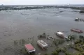 4.306 Hektare Sawah di Demak Terendam Banjir