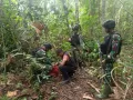Patroli Gabungan Sinergitas Satgas Pamtas RI-PNG Gagalkan Transaksi 1.838 Gram Ganja di Perbatasan Papua