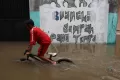 Banjir Genangi 4 Kecamatan di Jombang