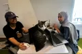 Serunya Bermain Bersama ‘Anabul’ di Kafe Bilik Kucing