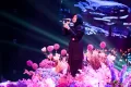 Penampilan Memukau Salma dan Momo di Top 3 Indonesian Idol 2023
