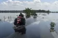 Kawasan Lumbung Padi di Ciamis Dilanda Banjir