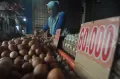 Harga Telur di Bengkulu Tembus Rp60.000 per karpet
