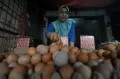 Harga Telur di Bengkulu Tembus Rp60.000 per karpet