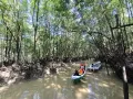 Wisata Hutan Mangrove Center di Balikpapan