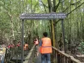 Wisata Hutan Mangrove Center di Balikpapan