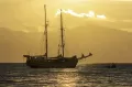 Bertenaga Panel Surya, Kapal Arka Kinari Tiba di Teluk Palu