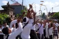 Ratusan Warga Rebutan Uang dalam Tradisi Mesuryak di Tabanan Bali