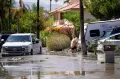 California Diamuk Badai Hilary, Pohon Tumbang Timpa Mobil