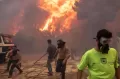Bertaruh Nyawa! Begini Potret Perjuangan Petugas Damkar dan Relawan Atasi Kebakaran Hutan di Athena