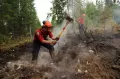 Kebakaran Hutan Kanada Meluas, Rumah dan Mobil Hangus Terbakar