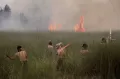 Petugas Gabungan Berjibaku Padamkan Api Kebakaran Hutan dan Lahan di Kalteng