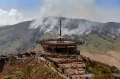 Kebakaran Hutan dan Lahan Gunung Bromo Meluas