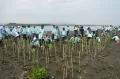 Pertamina Patra Niaga Tanam 10.300 Tanaman Laut dan Bersih-Bersih di Pantai Tirang Semarang