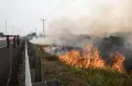 Kebakaran Lahap Kebun Sawit di Palem Raya Ogan Ilir Sumsel